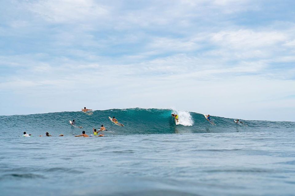 0-surfers-fb-kermit